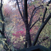 All in a Moment Fleeting (new recording) Nov. 2010