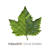 Circuit Breaker Album Picture