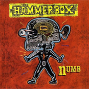 Hammerbox - Hed