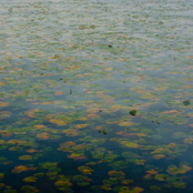 Further Than If You Use Strength