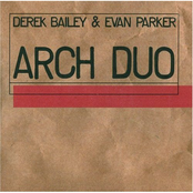 Two by Derek Bailey & Evan Parker