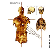 Bad Constellation by Escalator