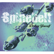 Spinebelt: Destroy Yourself