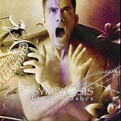 On the Wings of Phoenix (Phoenix Ashes)