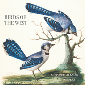 Supposed To Know / More Complex