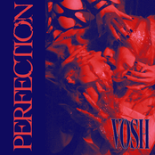 Vosh: Perfection (Single Mix)