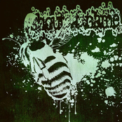 Honey Is Bee Vomit