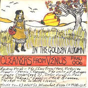 The Autumn Cornfield by Cleaners From Venus