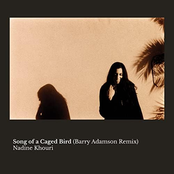 Song of a Caged Bird (Barry Adamson Remix)