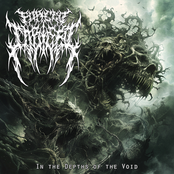 In The Depths Of The Void