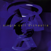 The Slenderest Of Threads by Single Cell Orchestra