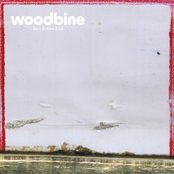 The Woods by Woodbine