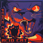 Acid Cat
