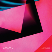 Siamese Gemini / Warm Leatherette