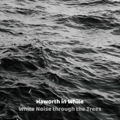 White Noise through the Trees