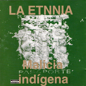 Malicia Indígena