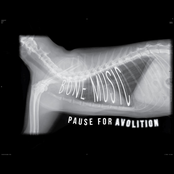 Pause for Avolition