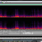in the absence of zero