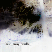How Many Worlds
