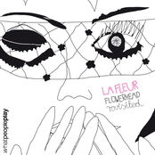 Flowerhead Revisited