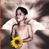 Anything Box: Elektrodelica