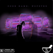 Code Name Wopster