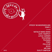 Speedy Wunderground - Year 2