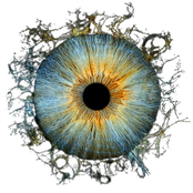 buscando la luz (deluxe)