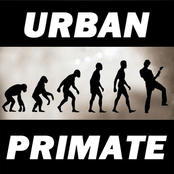 Urban Primate