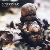 Strangelove: Time for the Rest of Your Life