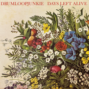 days left alive - EP