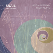 Snail (Lo-Fi Version)