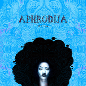 Aphrodija