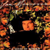 What Would I Do by Van Morrison