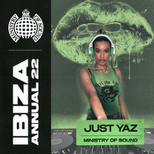 Ibiza Annual 2022 (DJ Mix)