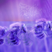 Coldfront / [d]ecember