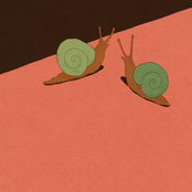 Bon Enfant: Trompe-l'oeil