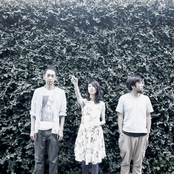 Spangle Call Lilli Line