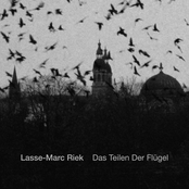 Das Teilen Der Flügel