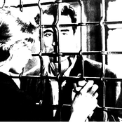 Stop and Search (demo)