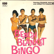 Beach Blanket Bingo