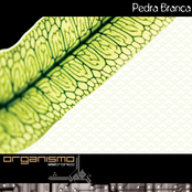 Organismo Eletronico