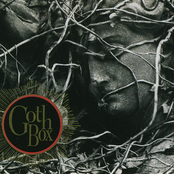 Goth Box