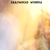 arrowhead wounds