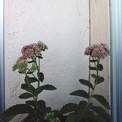 Live at the Old Western