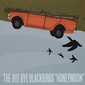 Quiet Confusion by The Bye Bye Blackbirds