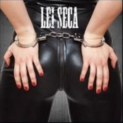 lei seca