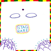 Liight Being Traveler