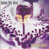 Flow and Steer