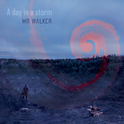 A day in a storm